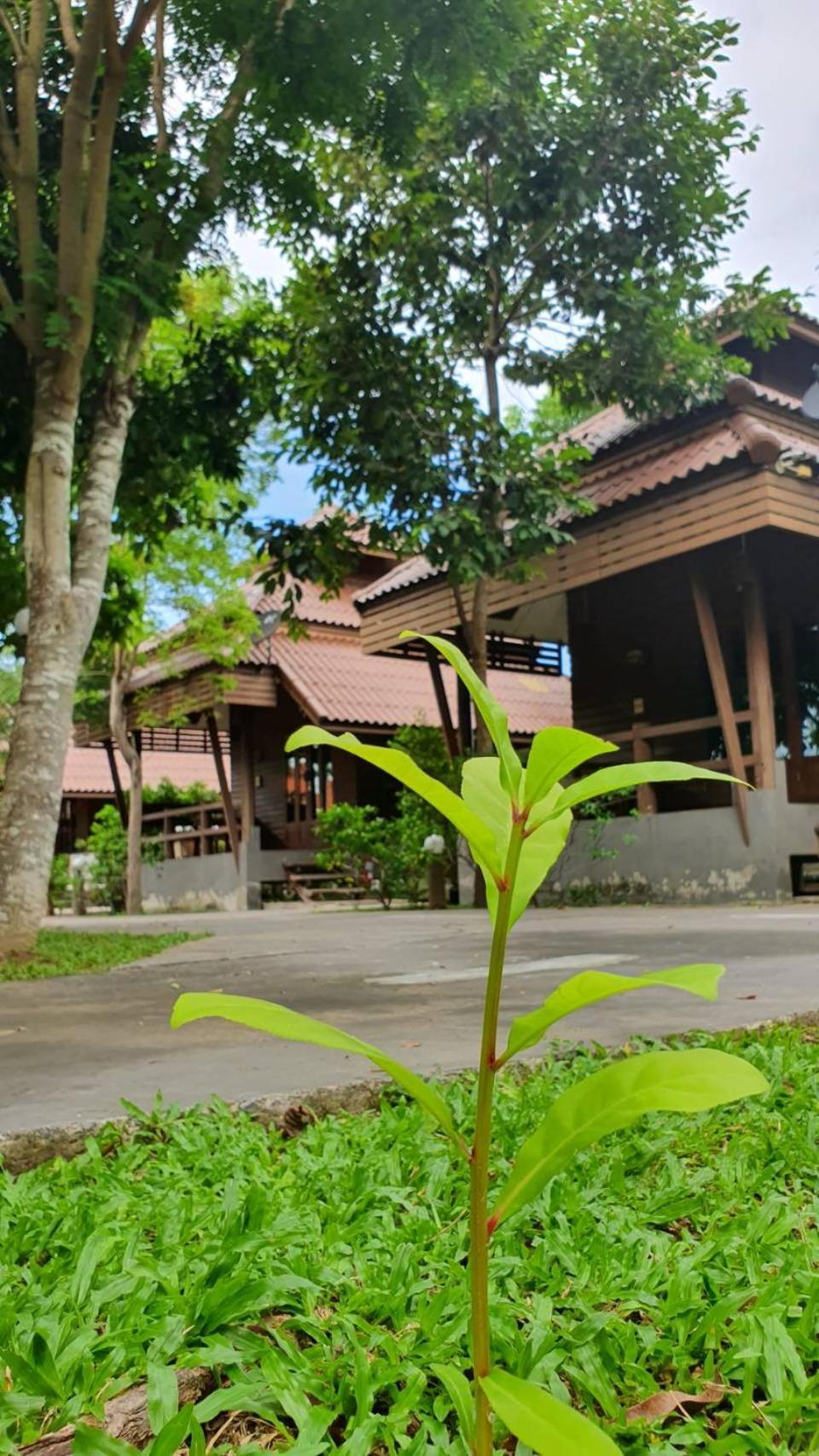 Ruenpruksa Resort Prachuap Khiri Khan Exterior photo